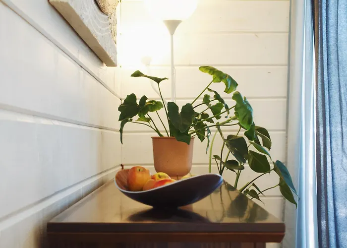 Germany's Apartament *